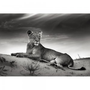 Puzzle "Lioness in grey"...