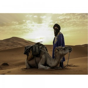 Puzzle "Resting in the desert" (1000) - 67020
