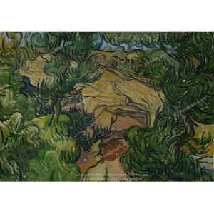 Puzzle "Entrance to a Quarry, Van Gogh" (1000) - 61563