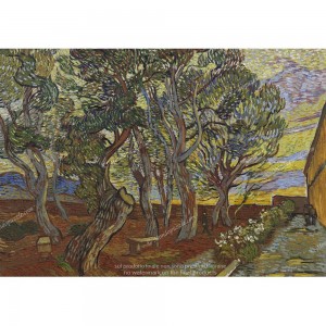 Puzzle "Garden of the Asylum, Van Gogh" (1000) - 61570