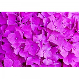 Puzzle "Pink Flower" (1000) - 67066