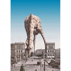 Puzzle "Giraffa in città" (1000) - 67091