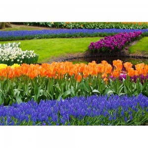 Puzzle "Spring in Garden" (1000) - 67145