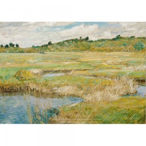 Puzzle "The Concord Meadow" (1000) - 40226