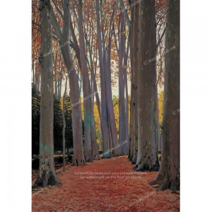 Puzzle "Avenue of Plane Trees" (1000) - 40229