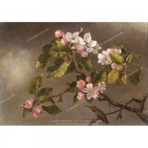 Puzzle "Apple Blossoms" (1000) - 40442