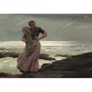 Puzzle "A Light on the Sea, Homer" (1000) - 40860