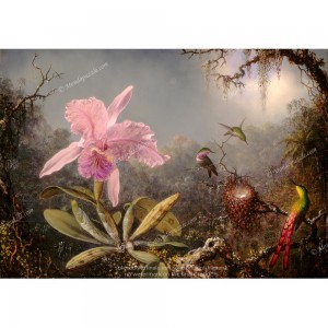 Puzzle "Cattleya Orchid" (1000) - 40896