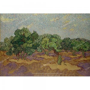 Puzzle "The Olive Orchard" (1000) - 40938