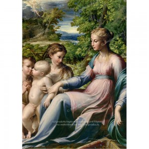 Puzzle "Virgin and Child, Parmigianino" (1000) - 41043