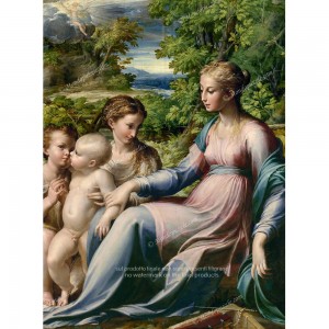 Puzzle "Virgin and Child, Parmigianino" (2000) - 81297