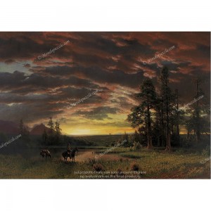 Puzzle "Evening on the Prairie" (1000) - 41170