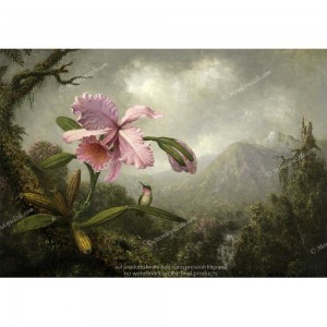 Puzzle "Orchid and Hummingbird" (1000) - 41193