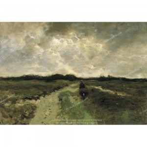 Puzzle "Crossing the Heath" (1000) - 41201