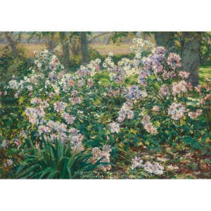 Puzzle "Windflowers" (1000) - 41505