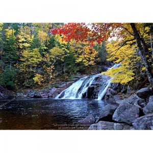 Puzzle "Waterfall" (1000) - 67084