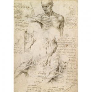 Puzzle "Anatomia, Leonardo" (1000) - 61264