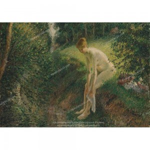 Puzzle "Bather in the...
