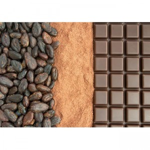 Puzzle "Cacao dall'inizio alla fine" - 62013